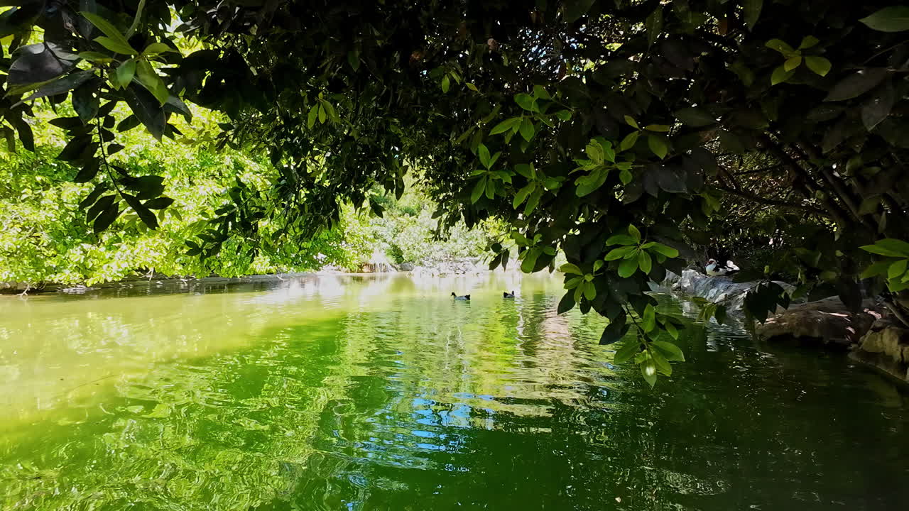 estanque de agua en el museo botánico de los jardines nacionales, atenas, grecia