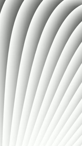 clean and elegant white background, ideal for presentations and digital projects.