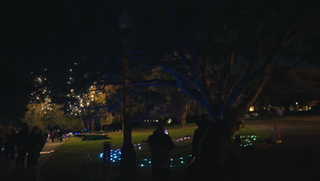 increíble disparo de seguimiento de la instalación de luz en un árbol enorme en los jardines botánicos de sydney por la noche en cámara lenta
