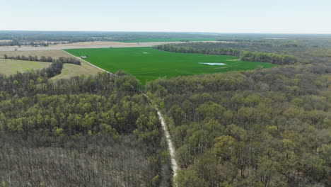 paisaje natural del refugio nacional de vida silvestre de lower hatchie en tennessee, estados unidos - toma aérea de un dron