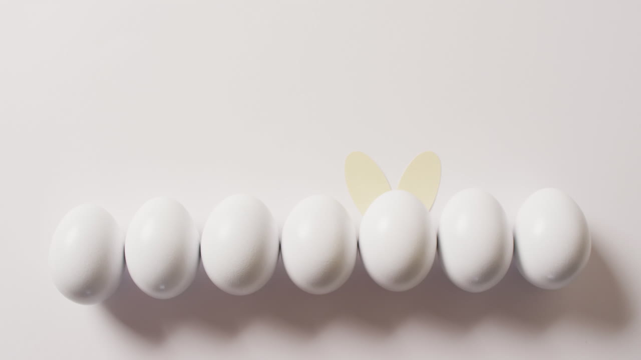 사본 공간과 함께  바탕에 토끼 귀와 함께  이스터 달