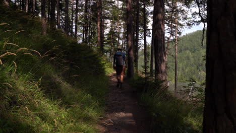 Back-of-male-hiker-walking-through-forest-with-many-tall-trees