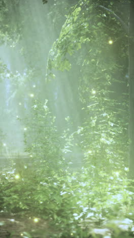 enchanted forest with fireflies and fog