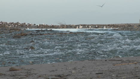 water flowing out of the ventura river estuary into the pacific ocean in ventura california