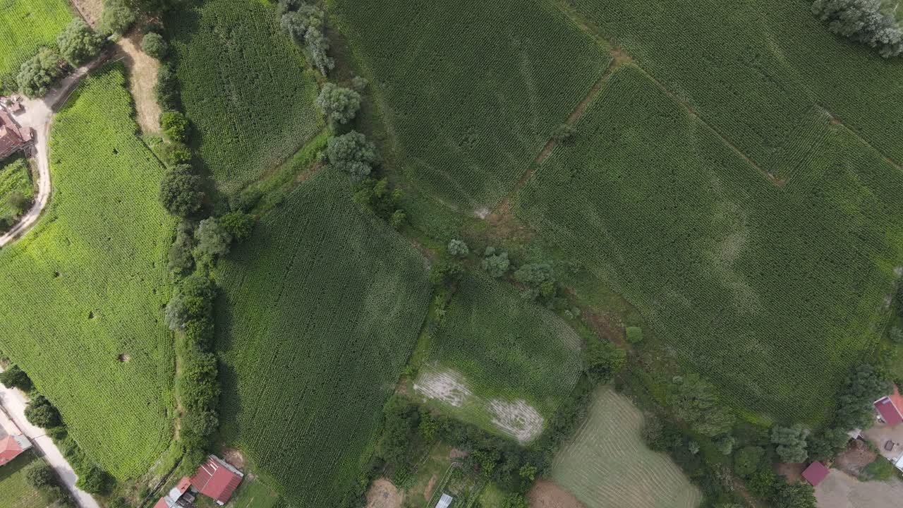 aérea drone vista rural planta campo