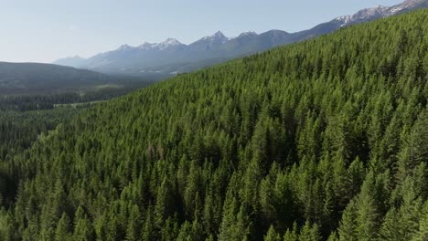 drone panning left and turning right revealing tall, snowy mountains and a vast pine forest wilderness near banff and yoho national park in canada under a partially cloudy sky