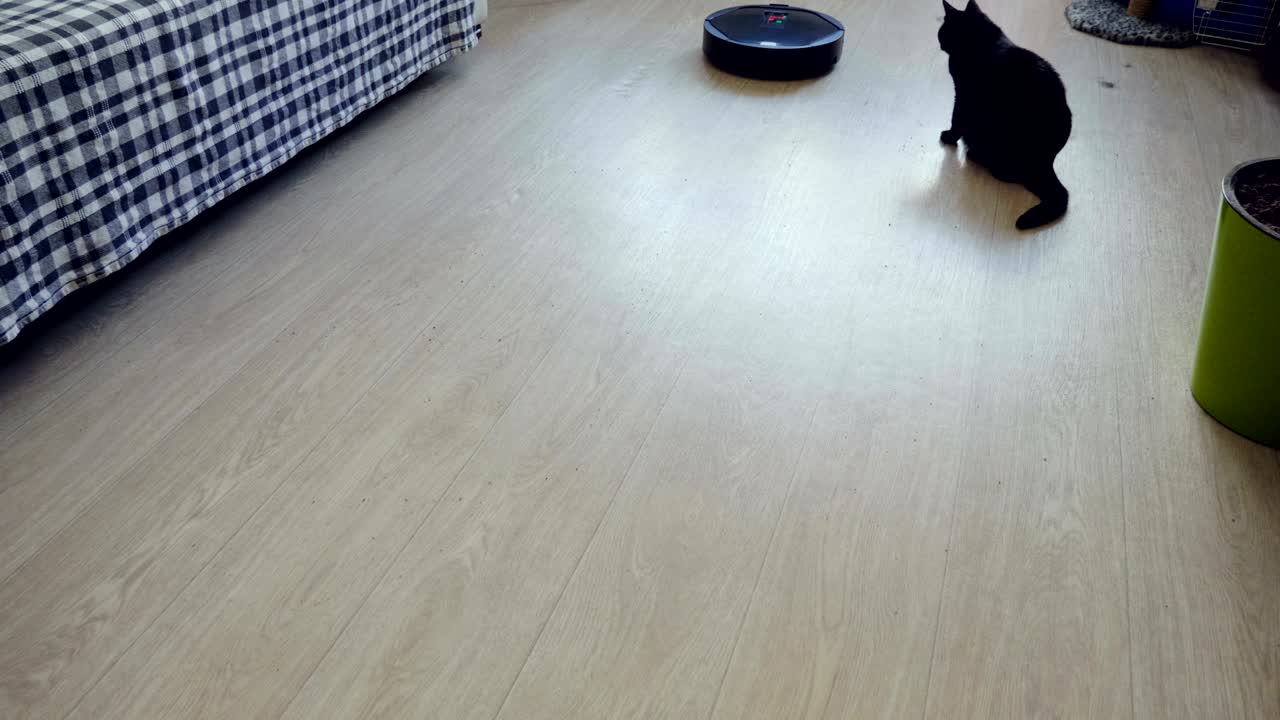 검은 고양이가 로 진공청소기를 가지고 놀고 있습니다.