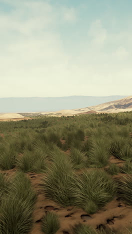 a desert landscape with green grass and hills