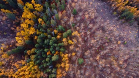 Edmonton-River-Valley-Park-Im-Herbst