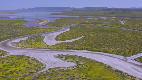 vista aérea de pájaro de la llanura de carrizo y el lago de soda en california durante la superflor con flores silvestres amarillas