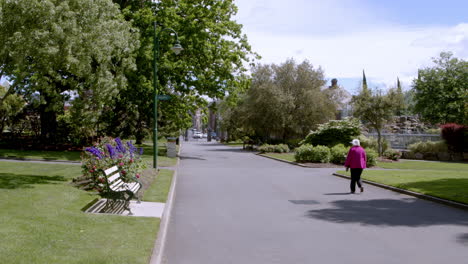 static shot of an old women walking alone in the lst park on a sunny day