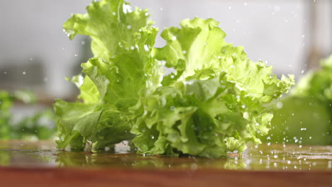 slow motion of fresh green lettuce falling on wet wooden board in a kitchen