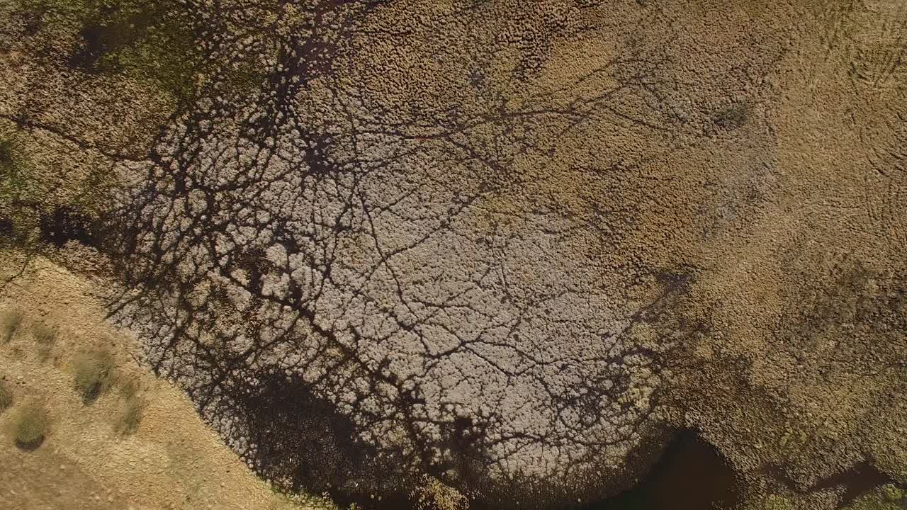 높은 수위로 이른 봄에 호수 burtnieks에서 범람된 초원