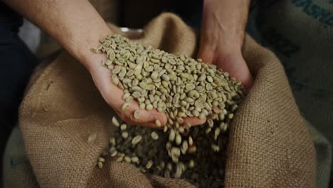 coffee farmer working with green coffee beans and tablet