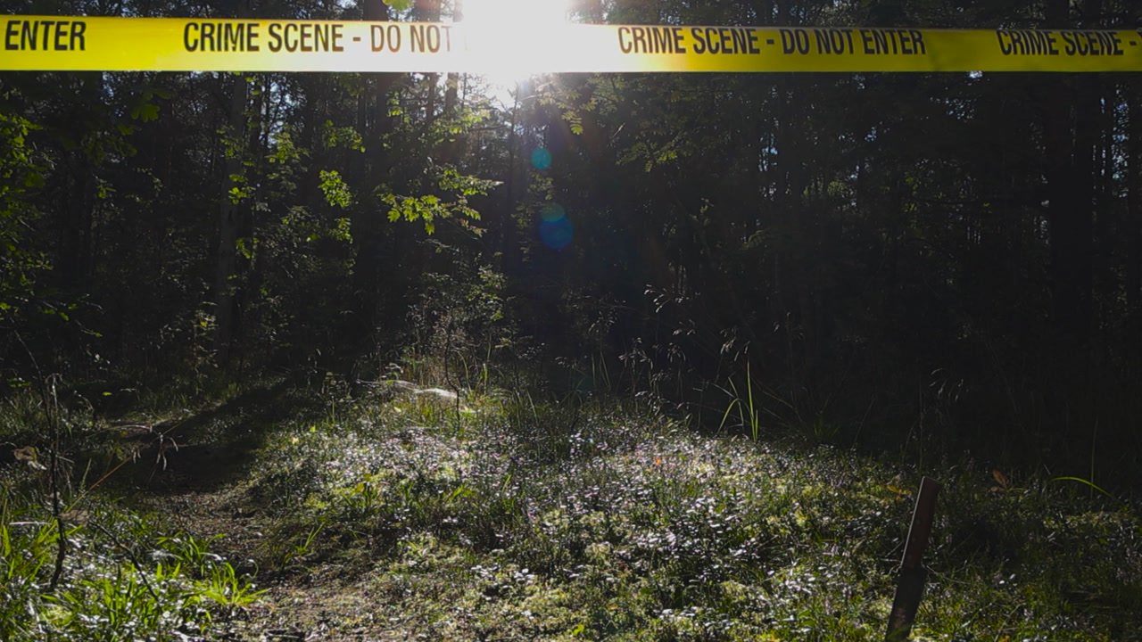 Police yellow colored Crime Scene forensics investigation tape ribbon pulled in front and above of a shiny kitchen knife that is stabbed in a lush forest mossy ground while sunshine backlits the tape.