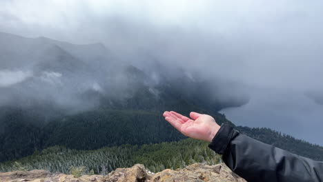 Wild-bird-eating-food-out-of-stretched-hand-on-top-of-the-mountain