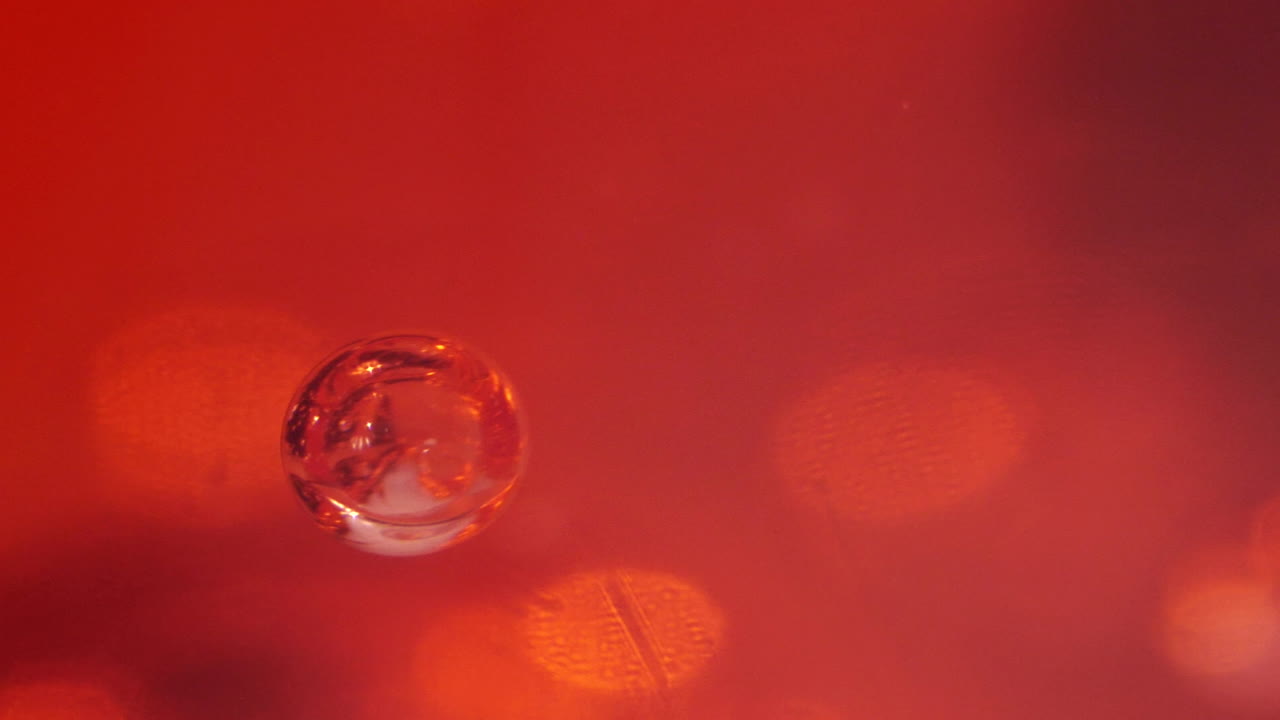 산소를 운반하는 혈액 세포, 천천히 아래로 떨어지고, 애니메이션, 매크로, 클로즈업