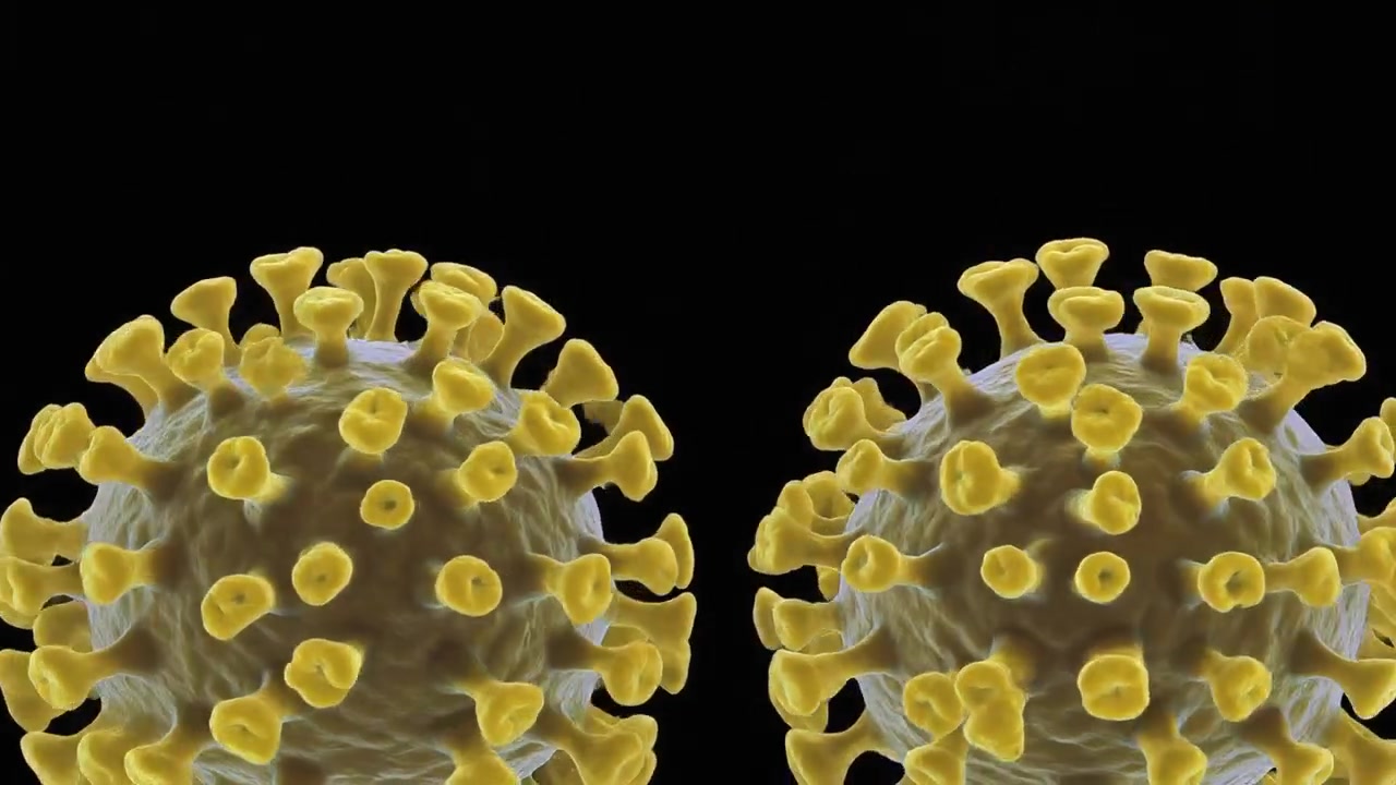 3D-animation af coronavirusceller, der frigiver partikler