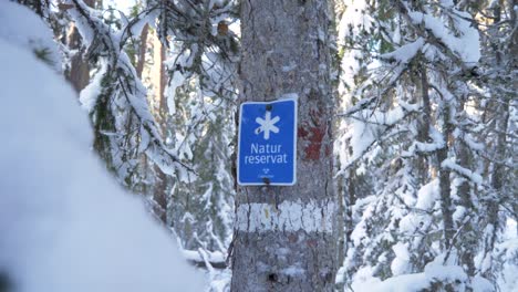 push in wide shot of swedish nature reserve sign screwed to a tree among thick snowy forest