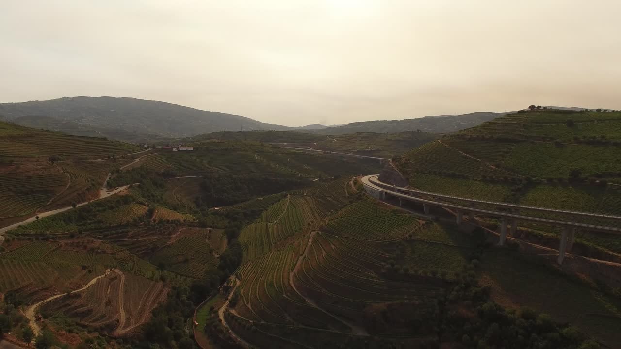 Autostrada sui famosi vigneti di montagna.