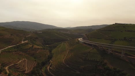 Carretera-En-Los-Famosos-Viñedos-De-Las-Montañas