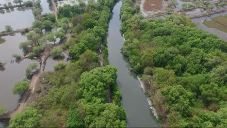 Surabaya-Mangrove-Conservation,-located-in-East-Surabaya,-East-Java-Province,-Indonesia