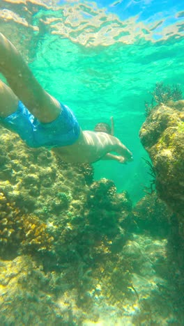 vertical view of a man scuba diving under tropical ocean in bali, indonesia