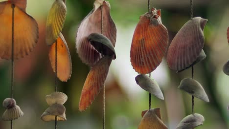 coloridas conchas marinas colgando de unas cuantas cuerdas con un fondo verde borroso detrás