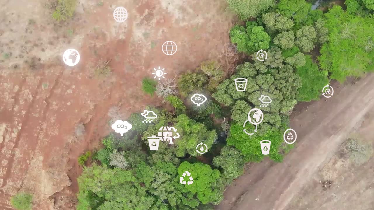 vista aérea futurista de drones de la cobertura forestal