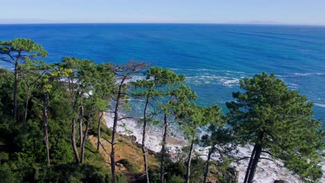 aerial shot from the green coastline in the shore of cantabria, spain, during a sunny day with trees, waves and rocks