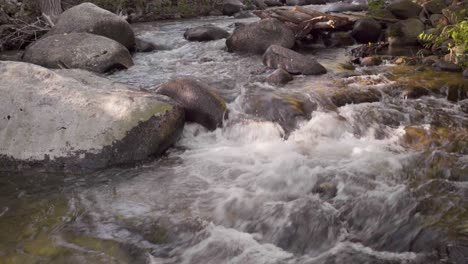 a clear cold rushing montana stream in early morning light