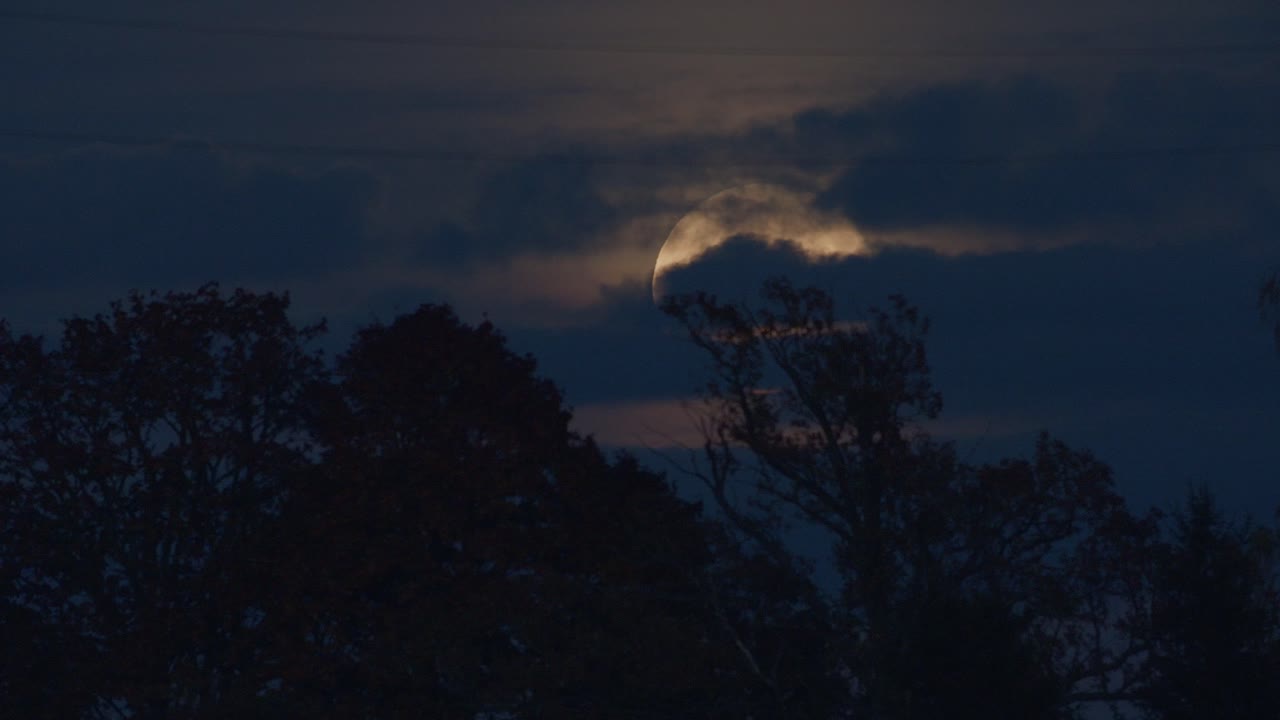Dramatic low moon rise through thin cloud layer and trees time lapse strong air disturbance