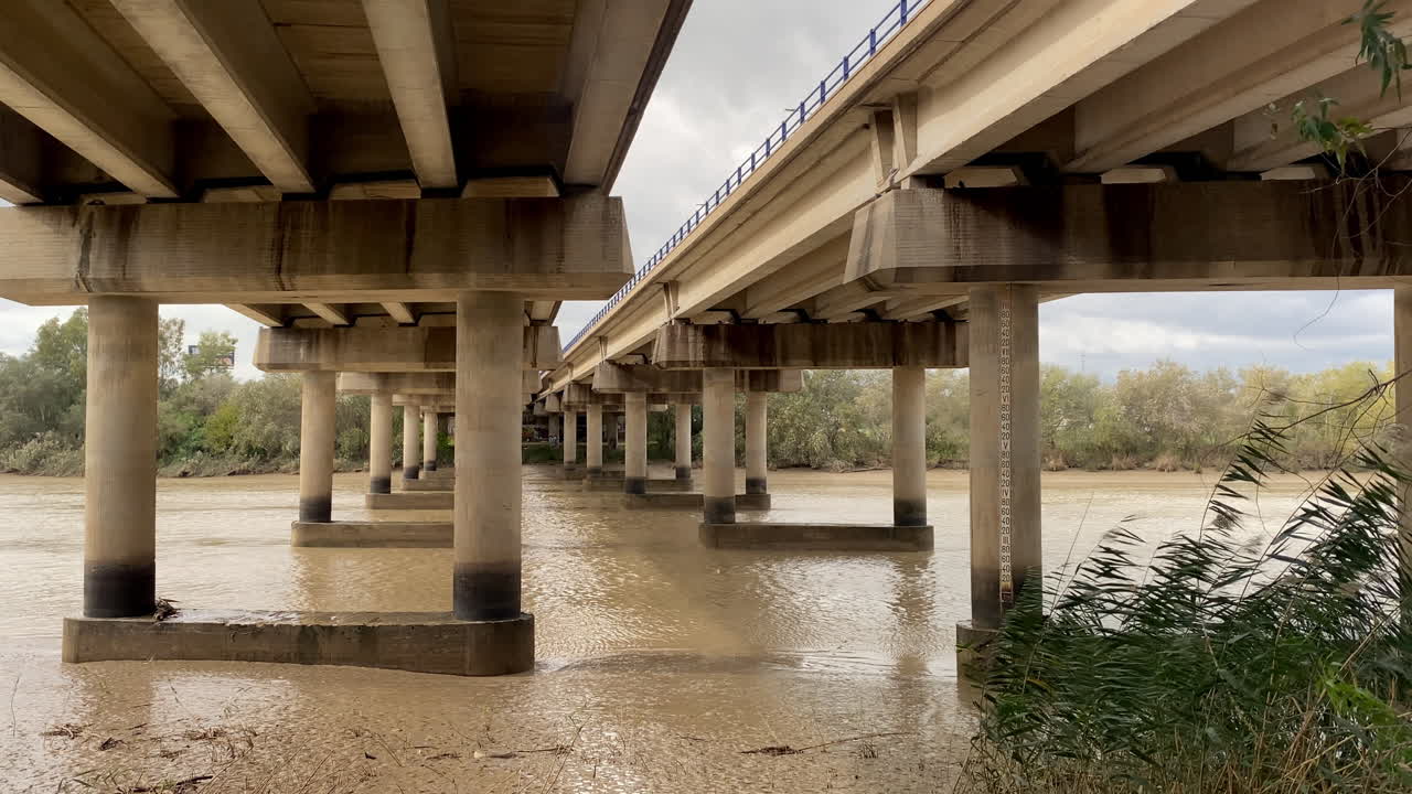 Bajo el puente, el río fluye lento y marrón; los pilares de hormigón se desvanecen en la distancia a medida que la naturaleza y la infraestructura se superponen en un tranquilo equilibrio.