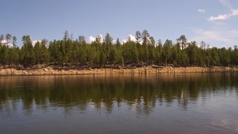 Línea-Arbórea-Del-Banco-De-Agua-En-Willow-Spring-En-Arizona,-Suroeste-De-Estados-Unidos