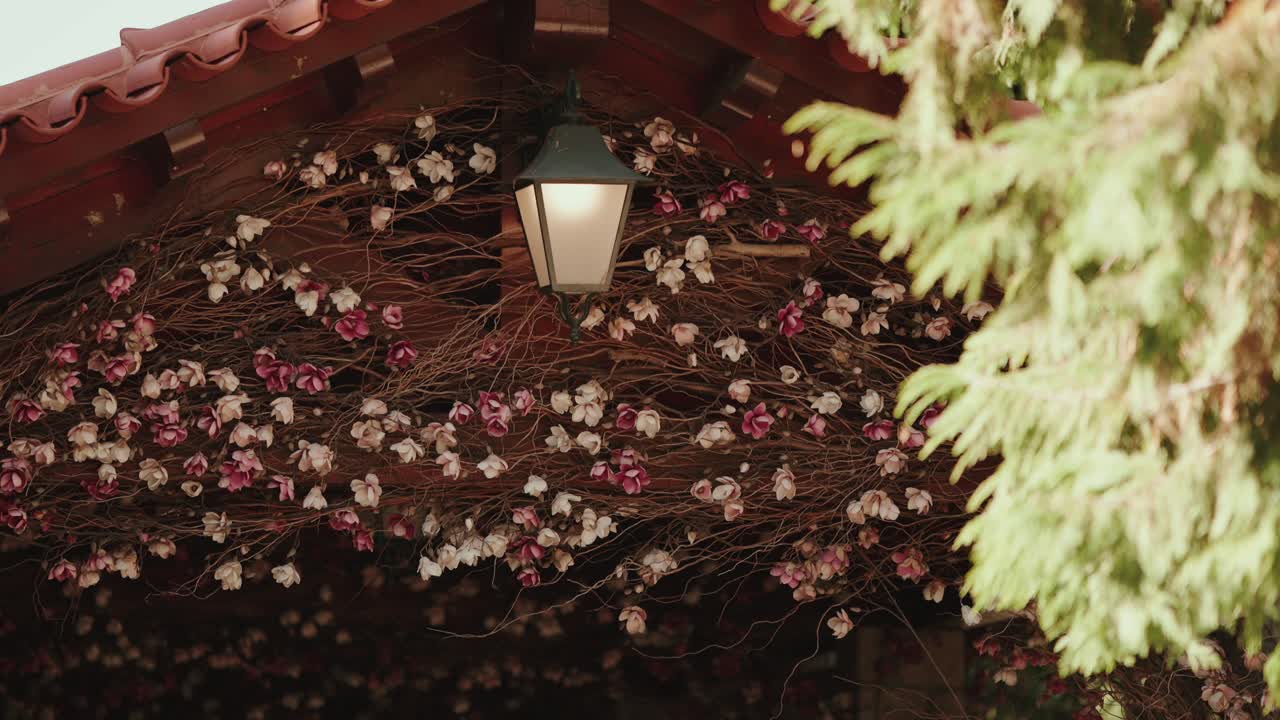 소박한 야외에서 마른 장미 덩굴 위로 따뜻한 랜턴이 빛나고 있어요