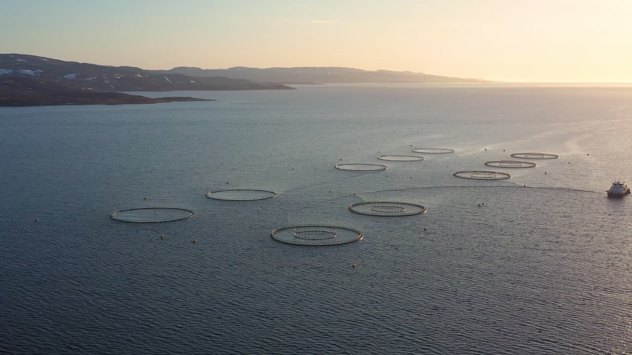 노르웨이에서 연어  ⁇ 시를 하는 공중 촬영