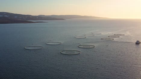 aerial footage farm salmon fishing in norway