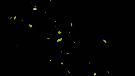 hojas amarillas, hojas de otoño, hojas del otoño, partículas que caen, gráficos en movimiento