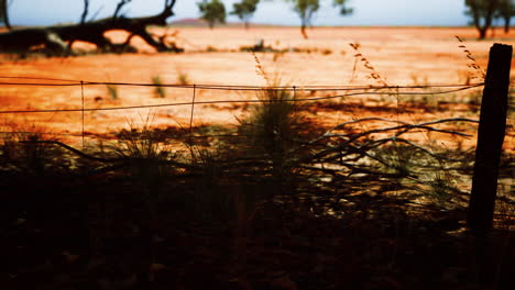 Pampas-with-barbed-wire-fence-and-dry-bushes