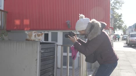 slow motion shot of a female tourist taking a photo of a cat on the wall