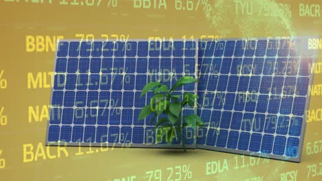 Animation-of-stock-market-over-solar-panels-and-plant-on-yellow-background