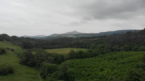 Vista-Aérea-Del-Bosque-De-Pinos-Y-árboles-Nativos-Que-Van-Hacia-El-Gran-Pan-De-Azúcar