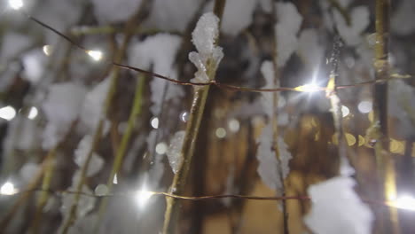 festive christmas lights on snow covered tree branches, close up