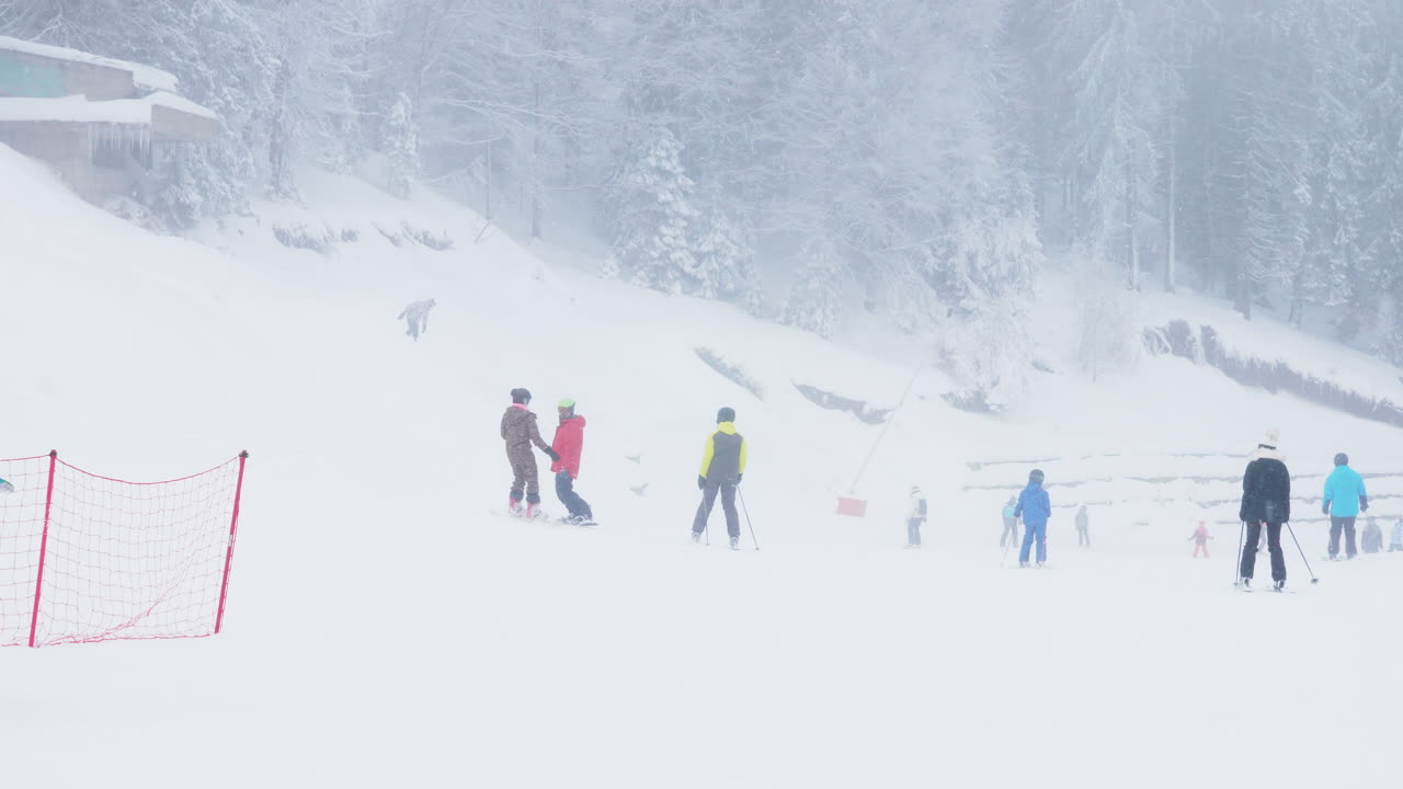 Skiing in a Snowy Winter Wonderland