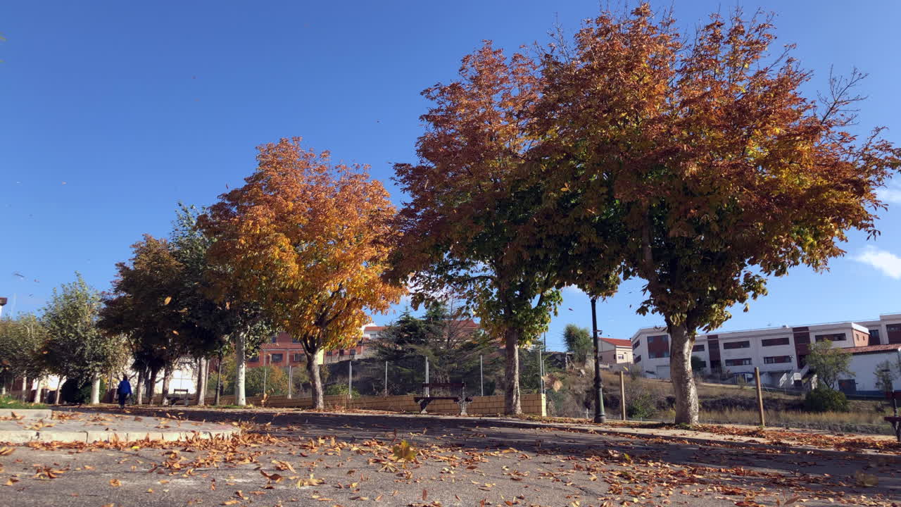 magníficos colores de otoño-1