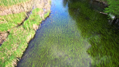 A-close-up-of-a-green,-wildly-flowing-river