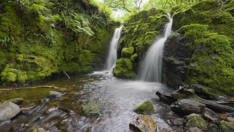 two waterfalls in a lush green forest