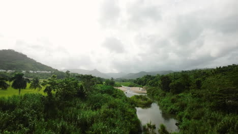 Toma-Aérea-Baja-Sobre-Un-Pequeño-Arroyo-Que-Fluye-Junto-A-Una-Jungla-En-Puerto-Rico.