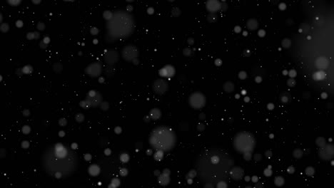 fondo negro para el polvo particular para el bucle