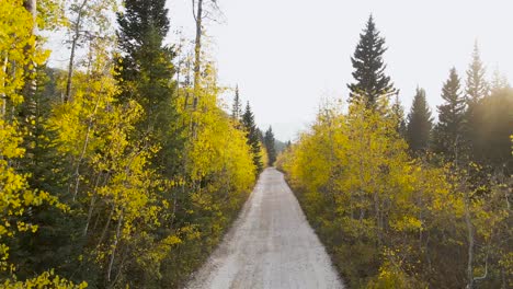 Country-road-through-mountain-forest,-trees-leaves-during-fall,-aerial-view